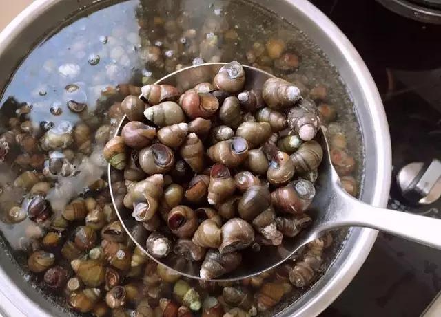 田螺怎么清洗干净的方法,田螺怎么洗干净教你三个清洗方法