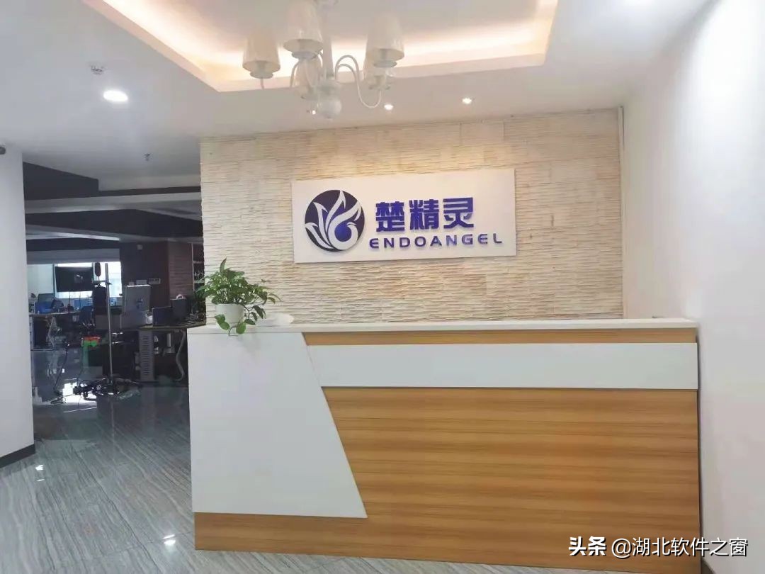 行业自律双软先行（十二）|楚精灵：打造世界级医疗AI服务商