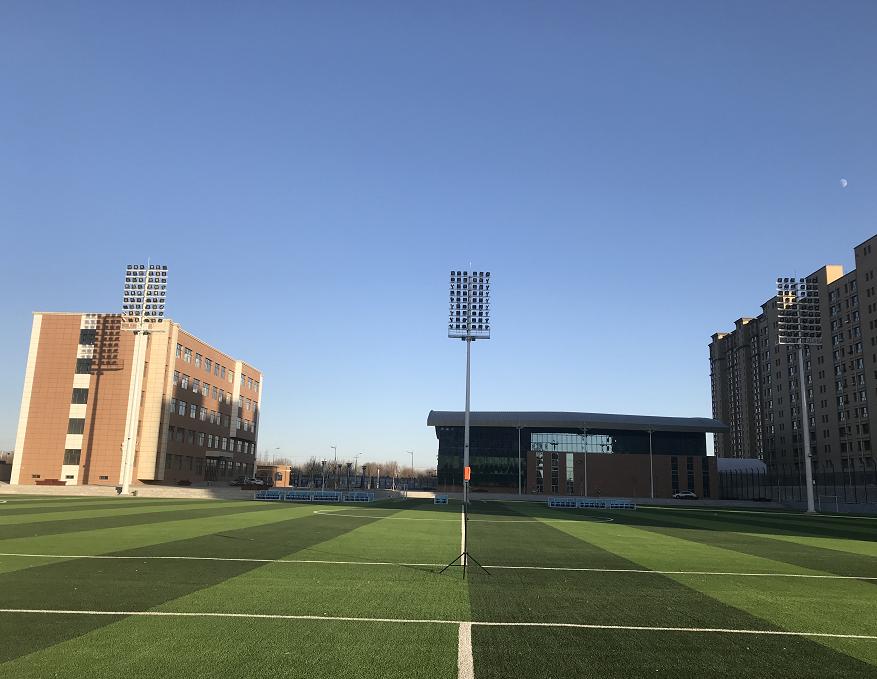 巴西不敌阿根廷世预赛,巴西战胜秘鲁第九次获美洲杯冠军