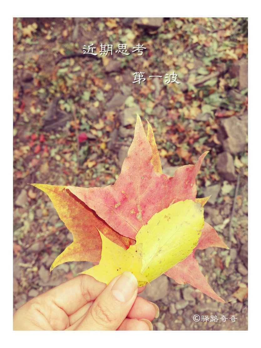 如何真正做到学以致用的方法,心学如何学以致用