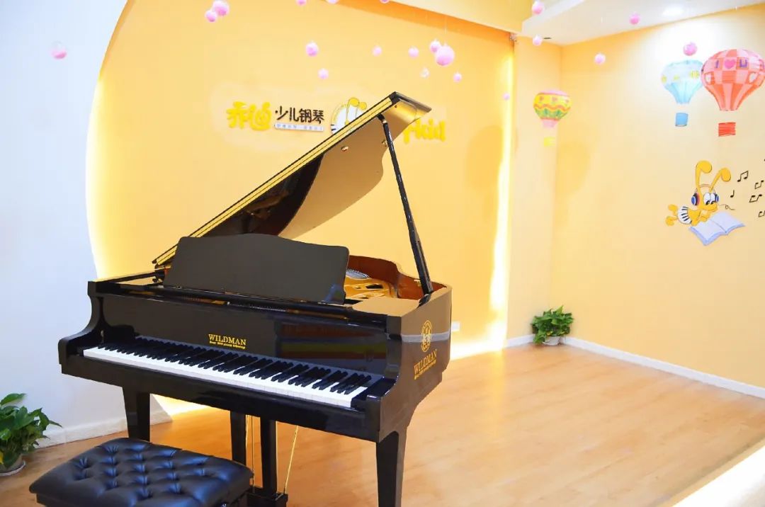 钢琴和乐器哪个好,那么多乐器为什么选钢琴