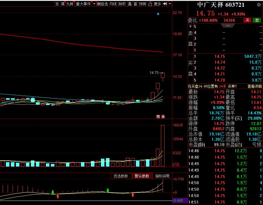 二胎概念板块,二胎未来发展趋势