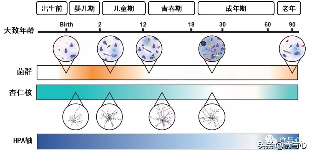 肠漏综合征的五大危害,肠瘘是一切病的根源