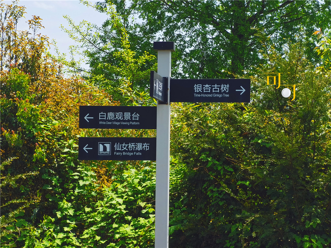 余姚四明山农家乐跟团游有吗,余姚市四明山高山布依农家乐