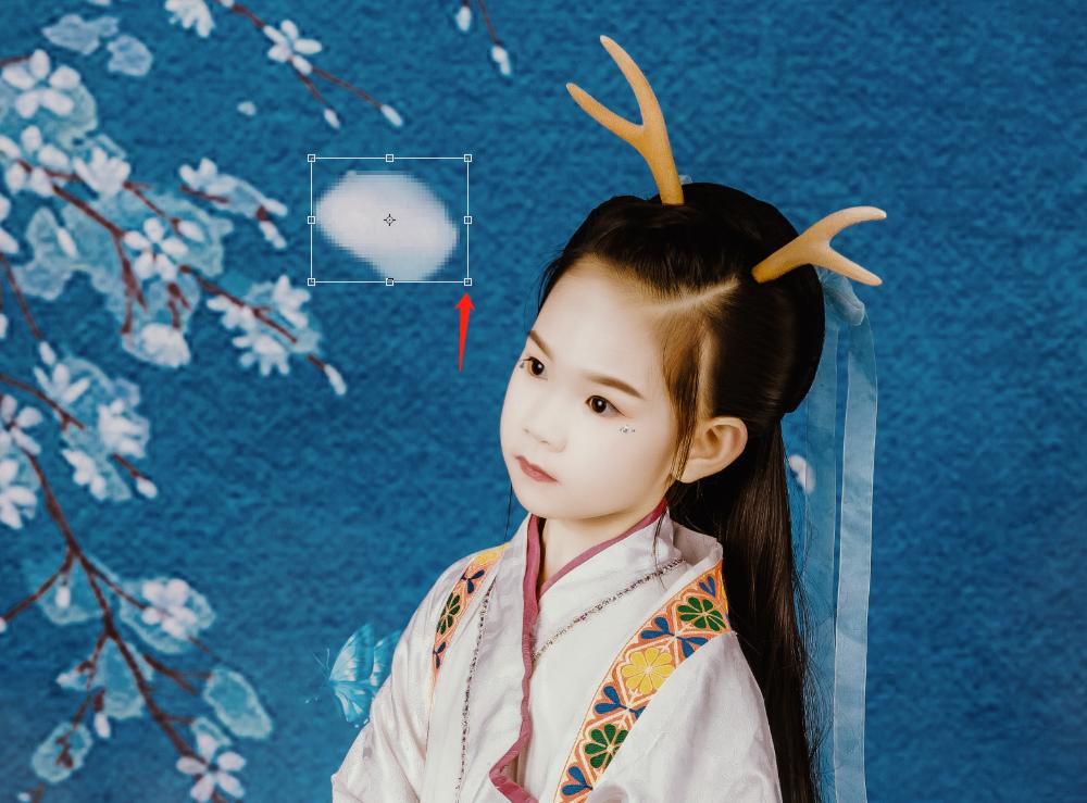 花瓣飘落视频制作,ppt怎么制作飘落的花瓣