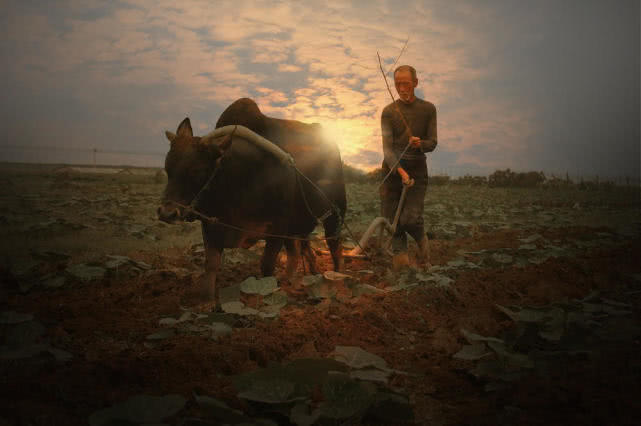 火山历史故事,火山传说真实故事