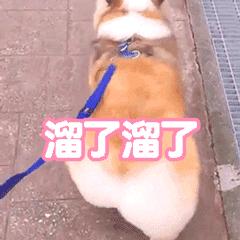 一张图如何制作霸气海报,如何制作高级版海报图片