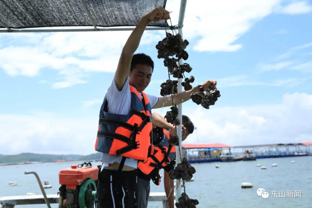 海上去哪玩,东山岛海边哪里有螃蟹抓