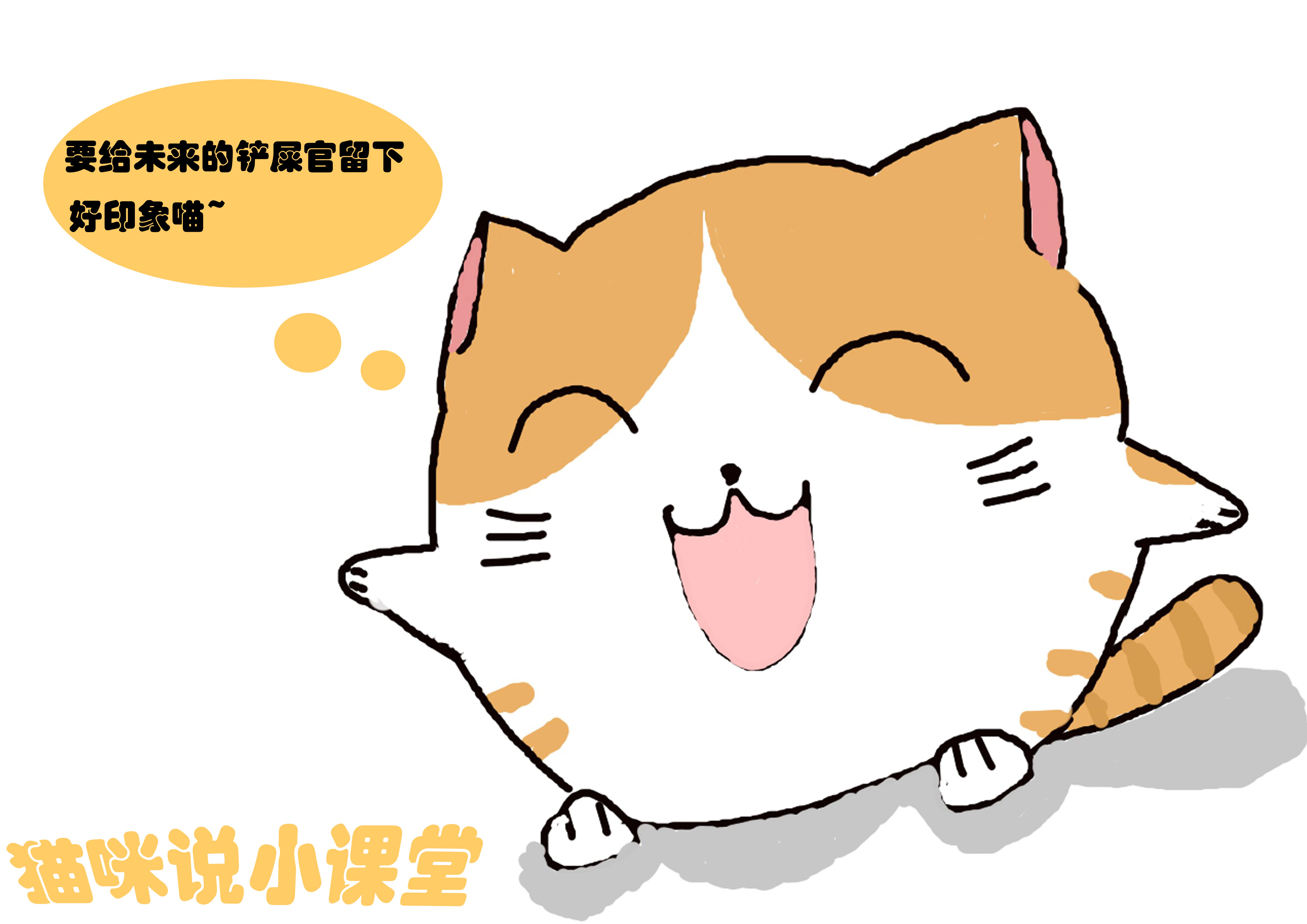 聪明猫都有哪些,聪明幼猫