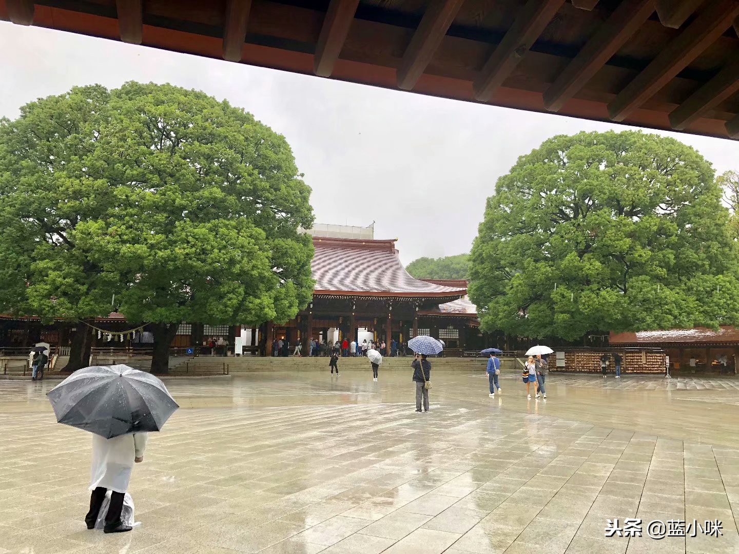 东京富士山镰仓一日游,东京旅游攻略镰仓一日游