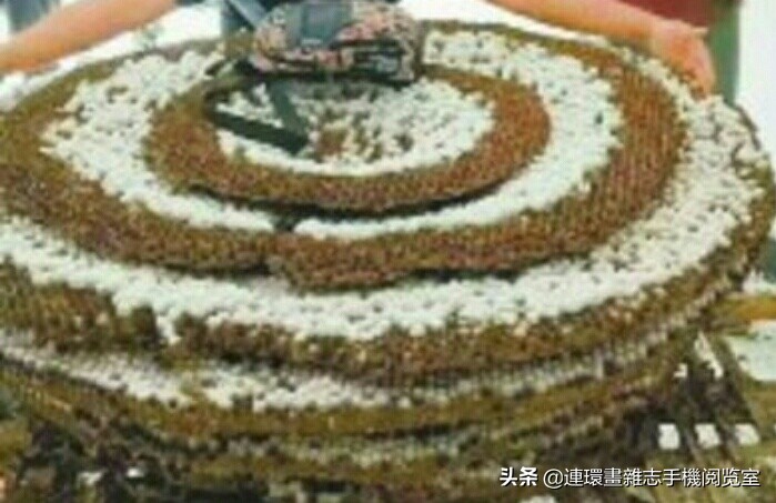 各式蜂巢,各种各样的蜂窝