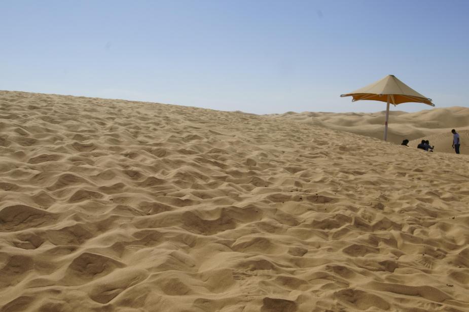 沙漠那么多沙子为什么不用来建房,沙漠的沙子为什么不能做建筑砂