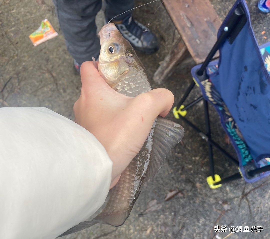 钓鱼人不知道的小技巧,钓鱼技巧野钓鱼不开口用啥饵