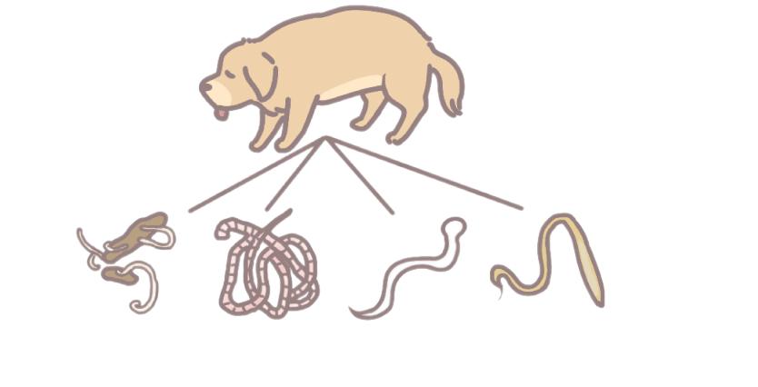 一个有味道的小知识,有味道的冷知识