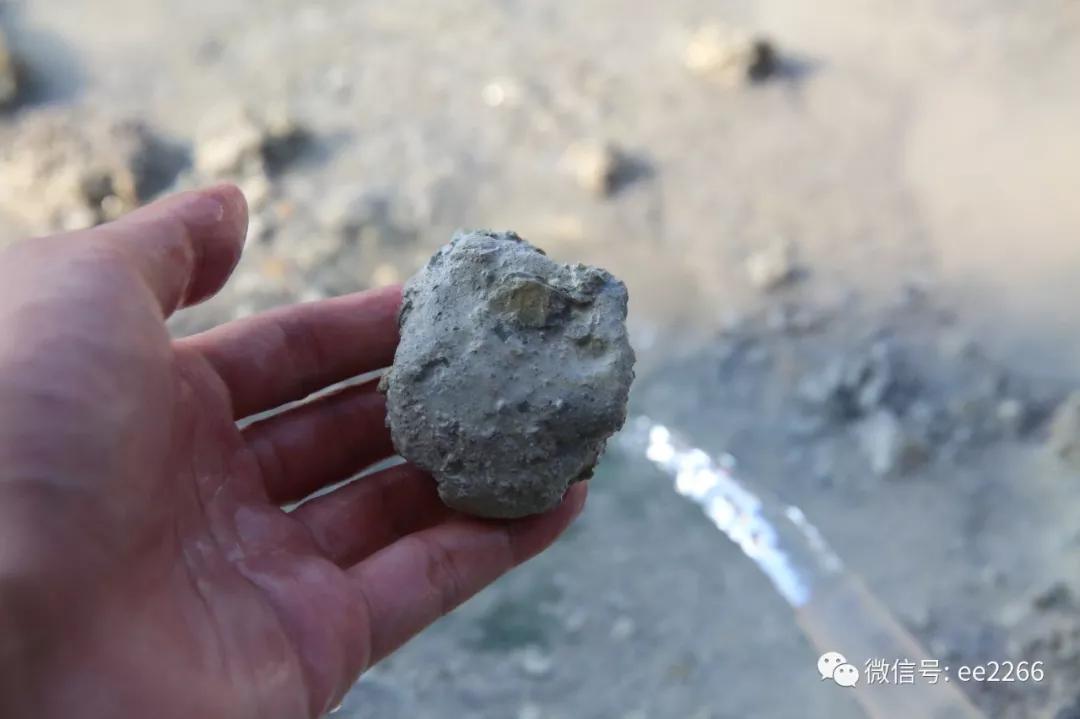 本山绿最简单的鉴别,本山绿优缺点