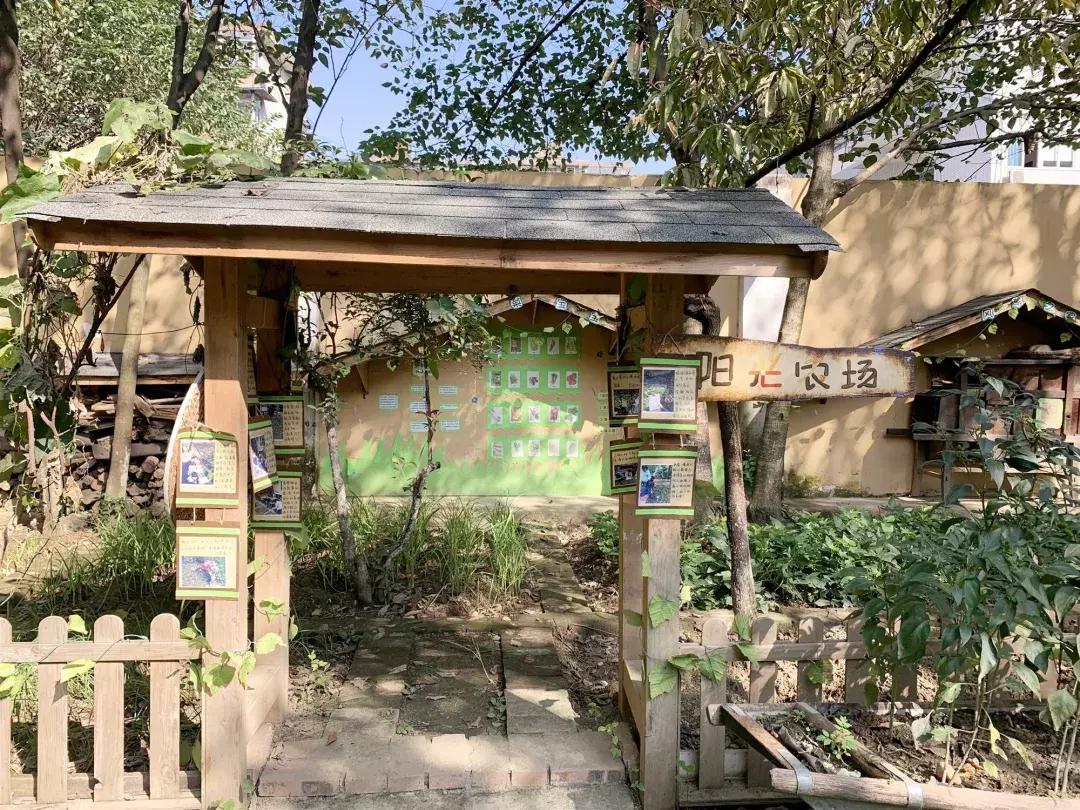 考察蒙氏幼儿园需要了解什么,蒙氏幼儿园东北探园