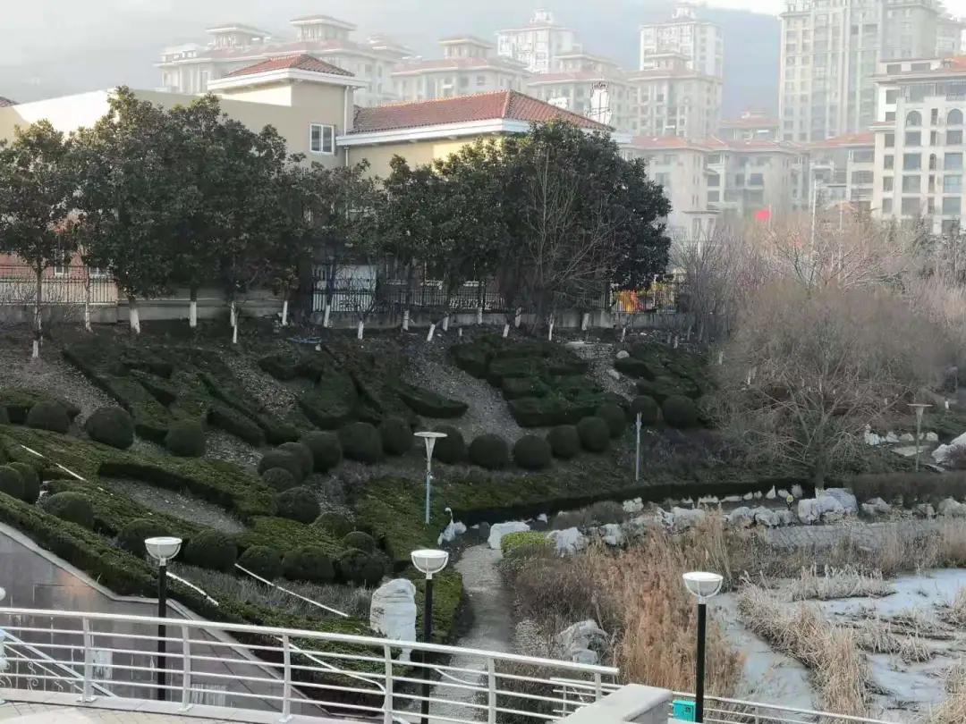 烟台凤凰山区域富人区,十年后烟台房价的走势