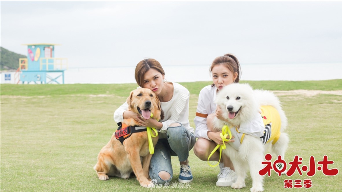 海南不止只有三亚,去万宁玩个冲浪,还有神犬小七拍摄地等着你