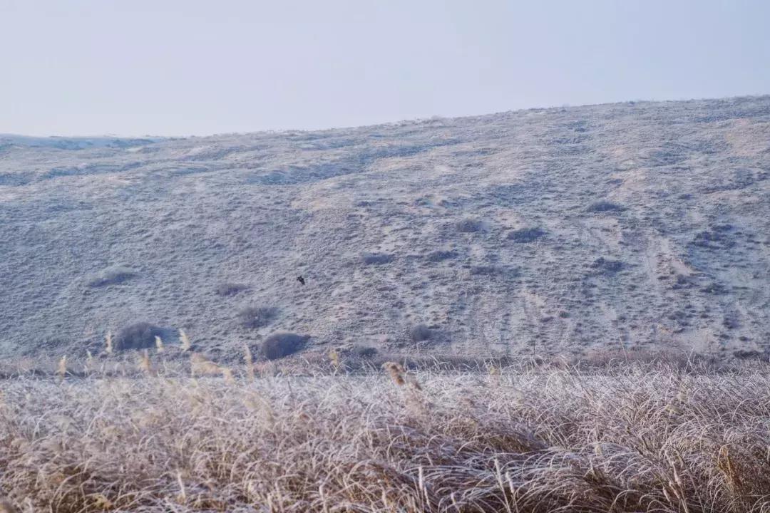 机票490飞往黄河过大年，主人请吃年夜饭，9项新年活动免费送