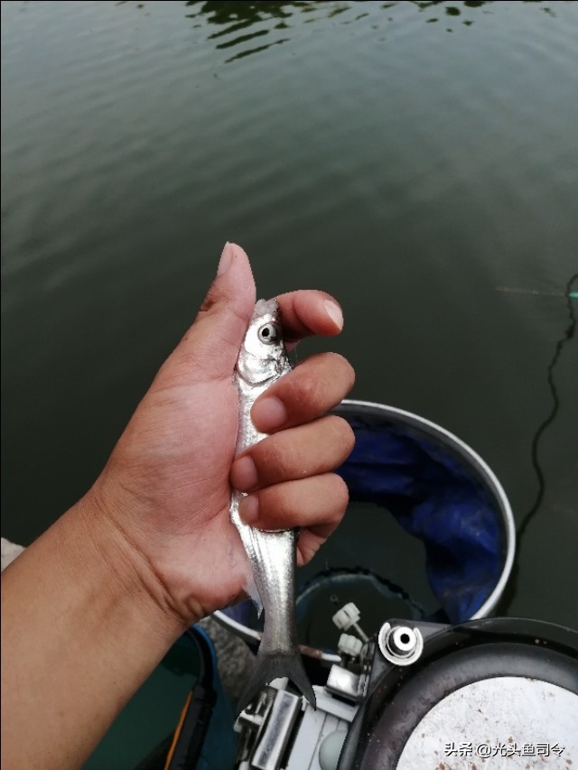 钓友买钓具,钓友买渔具最关心什么