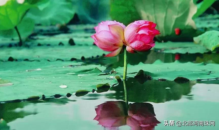 北部湾城市图片,北部湾国家城市