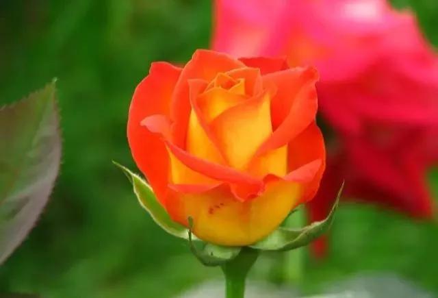 每天学习一点点女性小常识,每天学习一点点科普一下