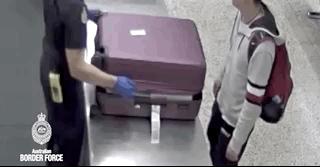 澳洲禁止入境物品最新规定,7月1日起这些物品不能上火车