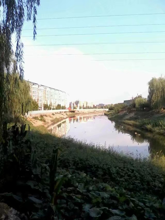 抓不住爱情的歌词,抓不住的爱情文案