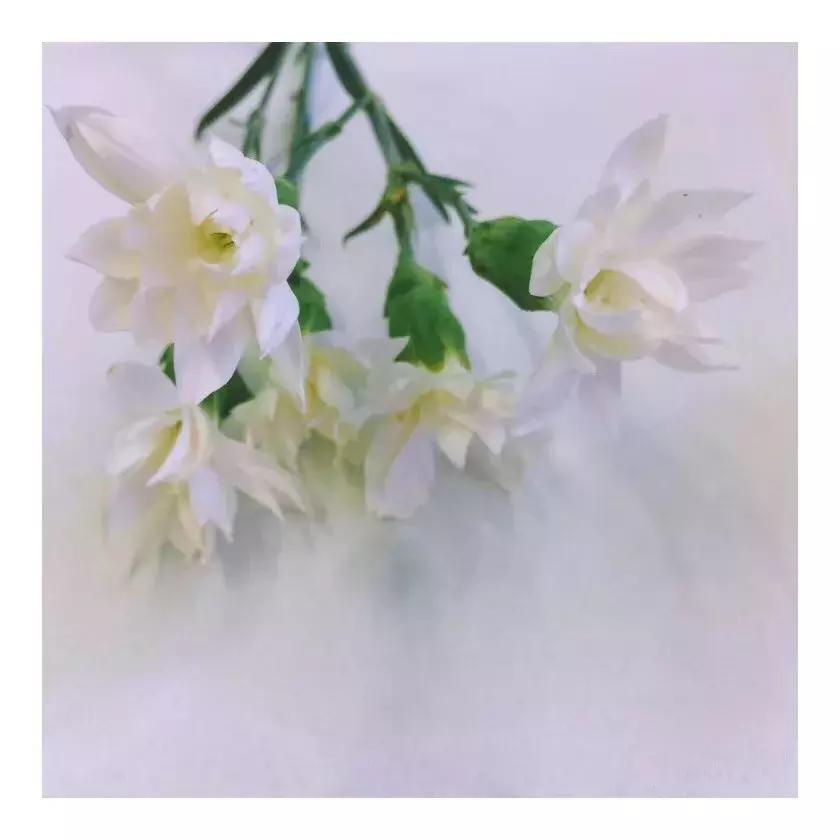 今天是中国的节日,今天是中国传统节日