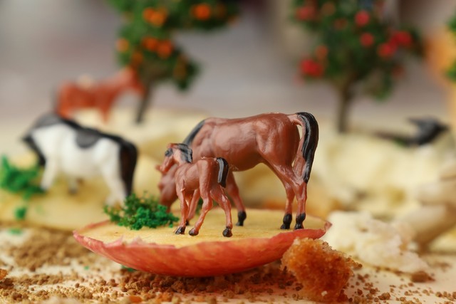 佳能eosrp套机rf24-105mmf4,佳能rf24-105mm评测