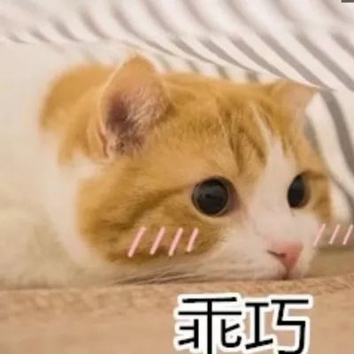 把外国老太太叫成grandma，外国人听了都想揍你