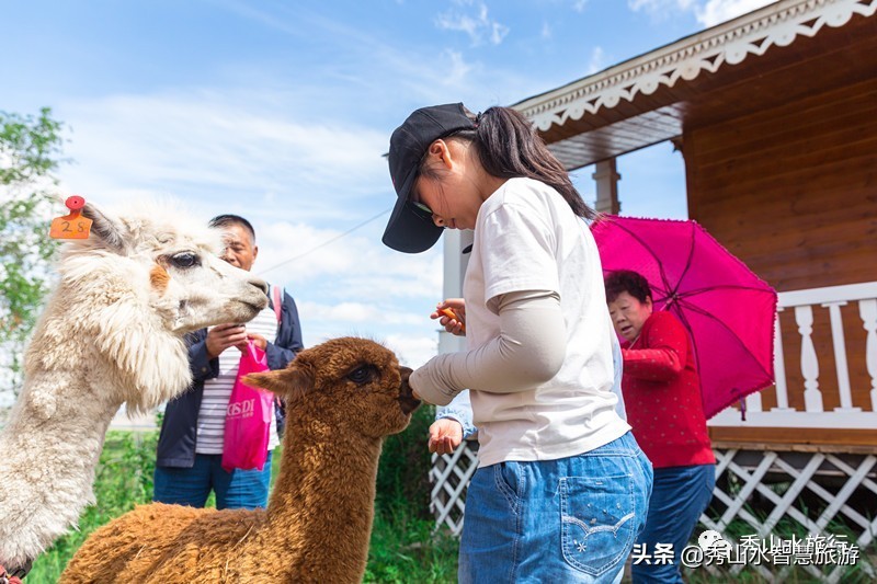 手绘套娃教程,列巴手绘套娃
