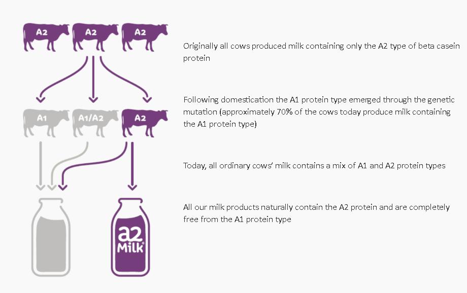 a2官方海外奶粉,a2官网买澳洲奶粉
