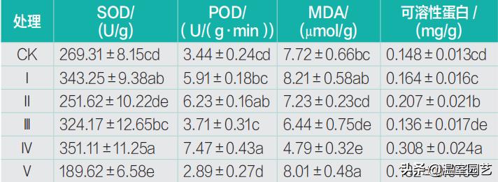 辣椒基质育苗肥哪里买,辣椒育苗基质怎么配制