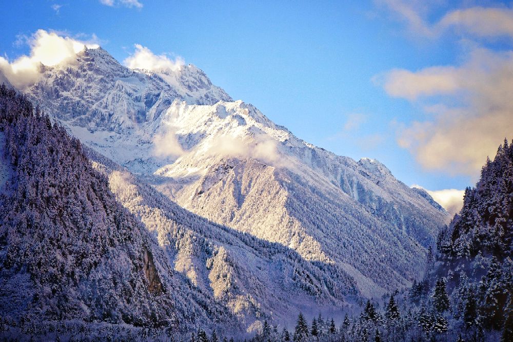 索尼a6000可以录像吗,索尼6000有自动跟焦吗