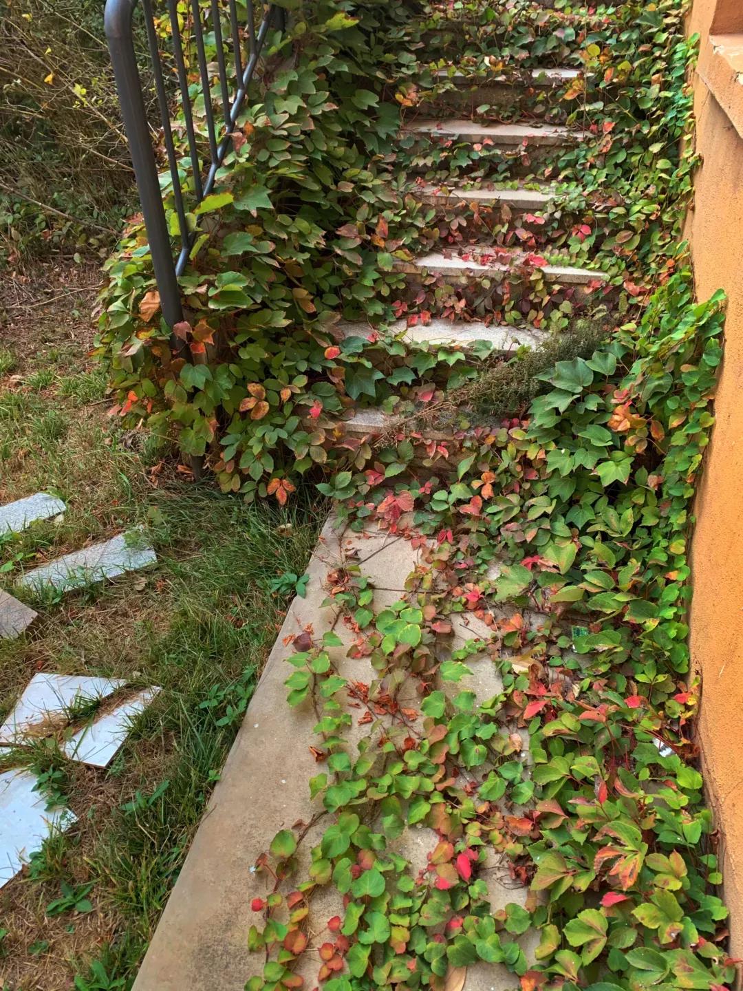 辽宁省高校(三十二)大连外国语大学