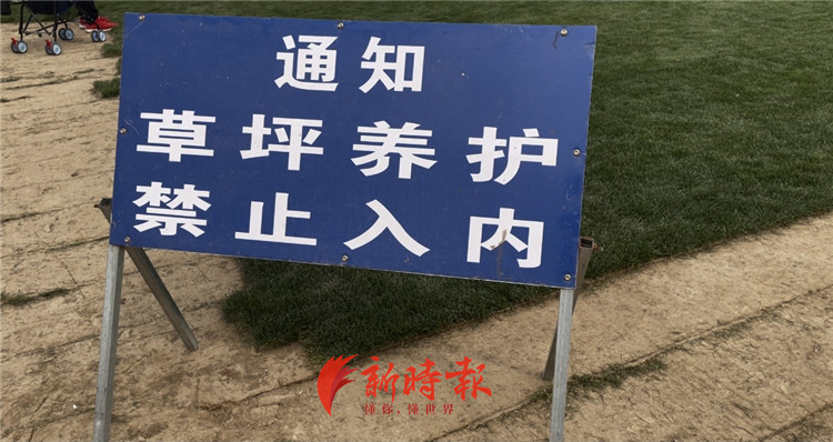 济南黄河网红草坪怎么去,济南黄河生态草坪基地门票团购