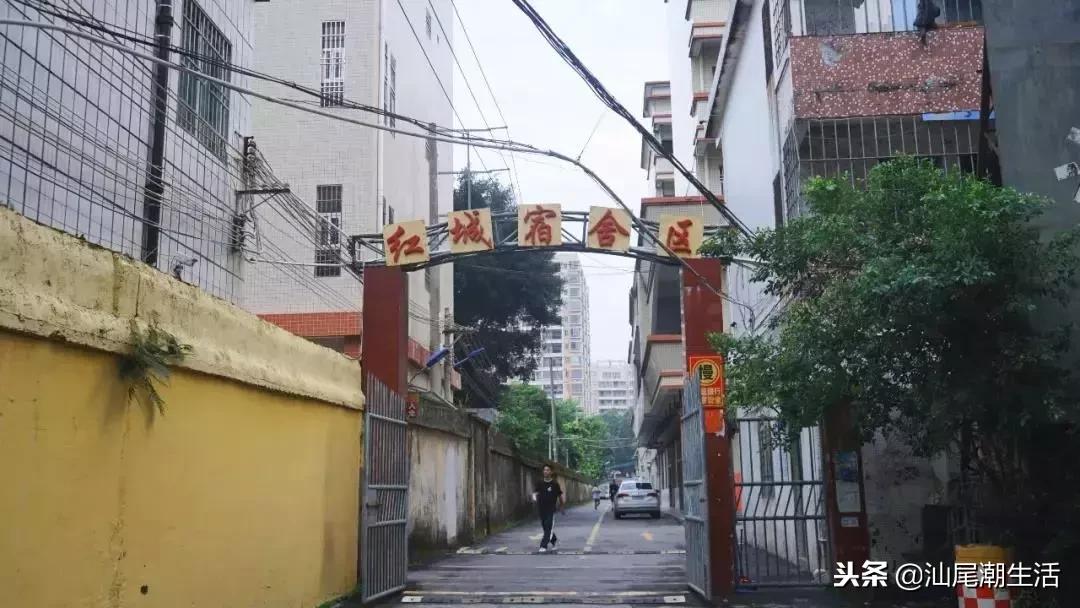 海丰县红城中学高考喜报,广东海丰红城中学