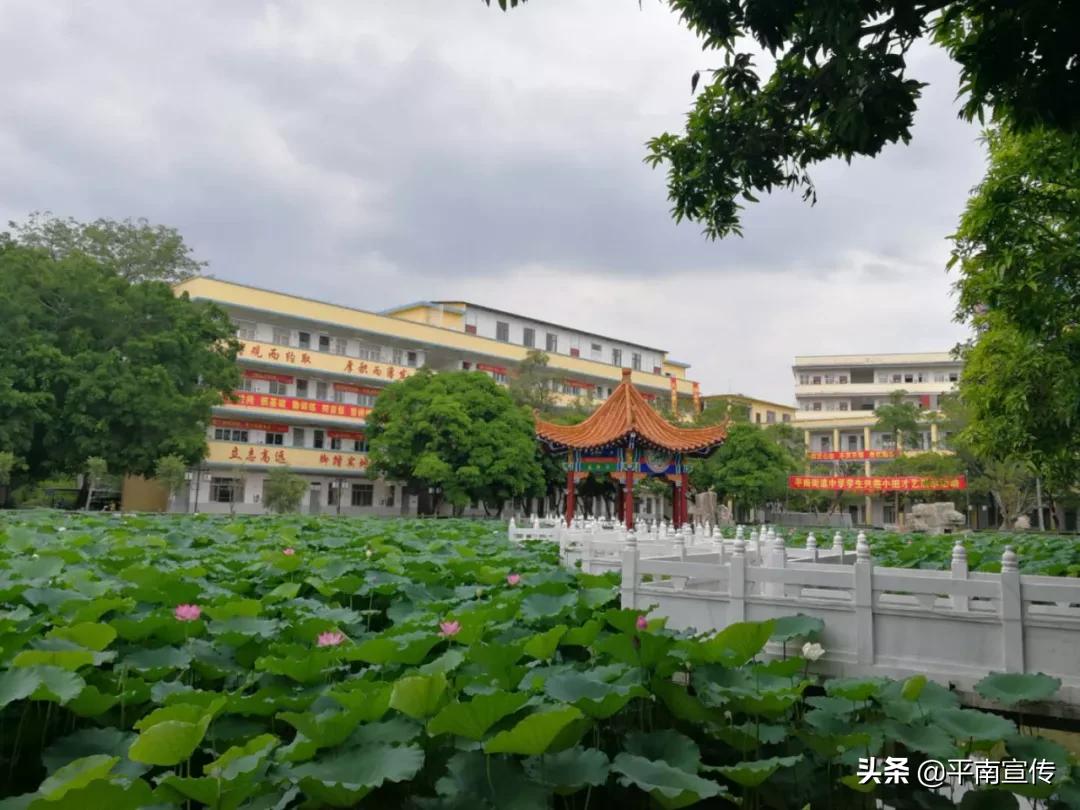 平南县教育,广西平南县教育