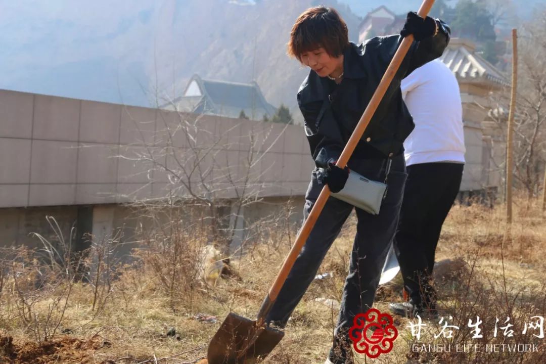 共植成长树，携手创业路——为甘谷这群创业青年打call！