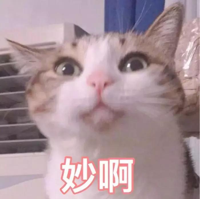 泰国电子落地签和签证有什么区别,泰国电子签证与纸质签证区别