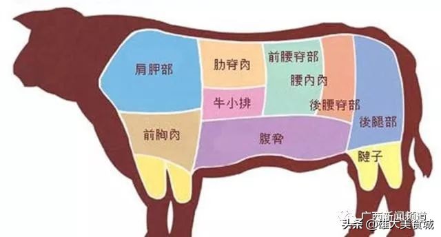 一头牛只有一块里脊,一头牛只供应6块牛排