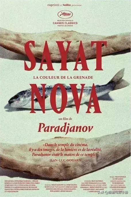 挣脱逻辑与现实的束缚让脑洞大无边界，超现实主义电影合集