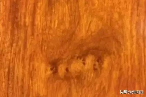 只有这七类木材才是真正的花梨木，教你火眼金睛“识花辨梨”！