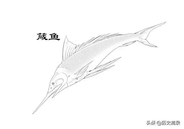 山海经有关瘟疫的传说,山海经中能治病的异兽