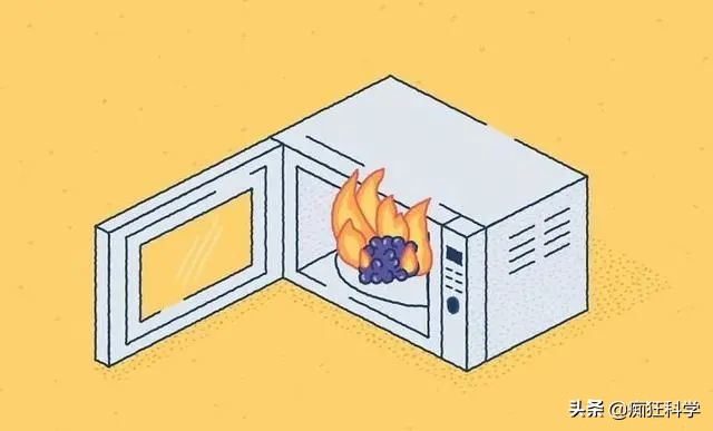 15条有趣的历史冷知识,科普电动牙刷冷知识