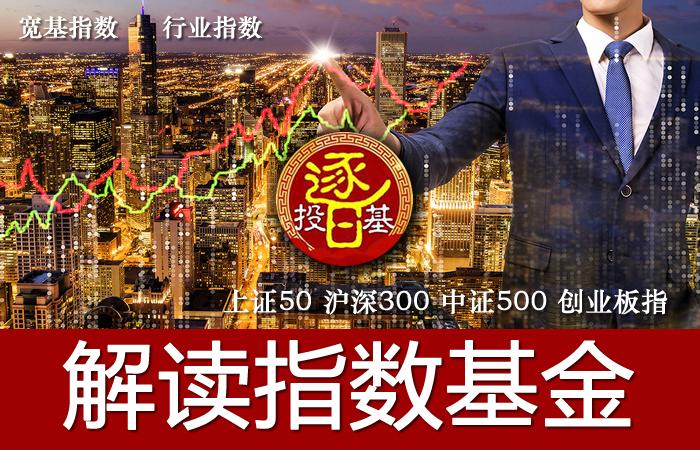 被动指数基金排行前十名,选择策略型指数基金