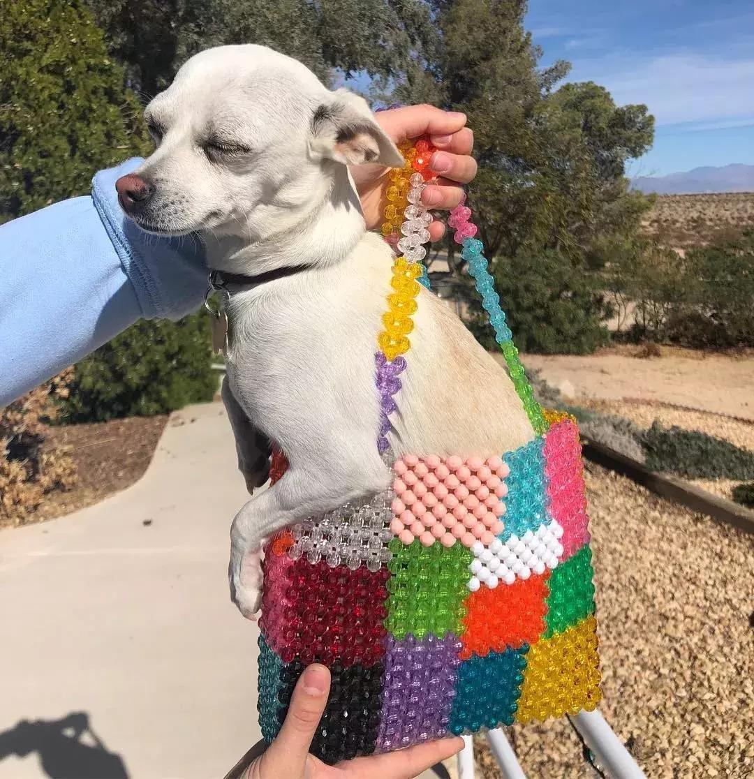 大s包包盘点,宋妍霏包包图解