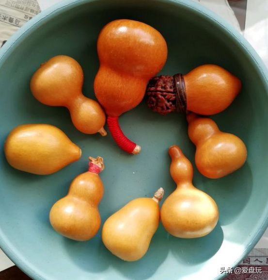 盘好的小葫芦怕晒吗,什么颜色的葫芦适合盘玩