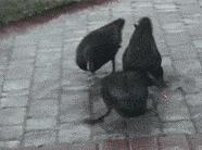 聚划算便宜会不会是假货,聚划算上买东西靠谱不